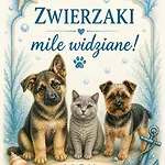 U Bosmana * Dźwirzyno