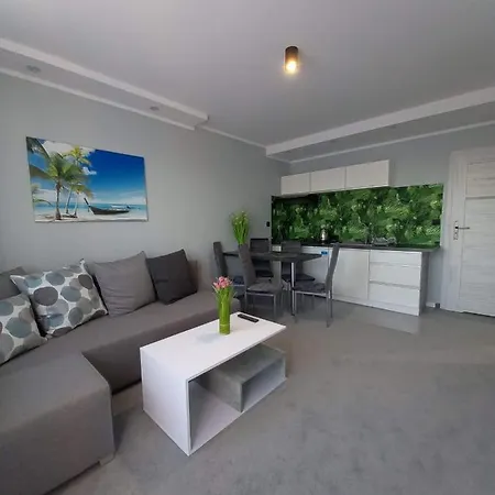 U Bosmana דירה *