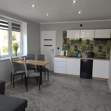 דירה U Bosmana דז'ווירז'ינו