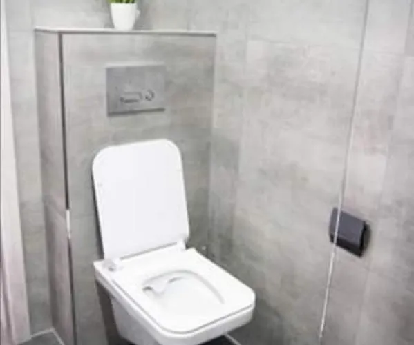 U Bosmana * 德兹维济诺