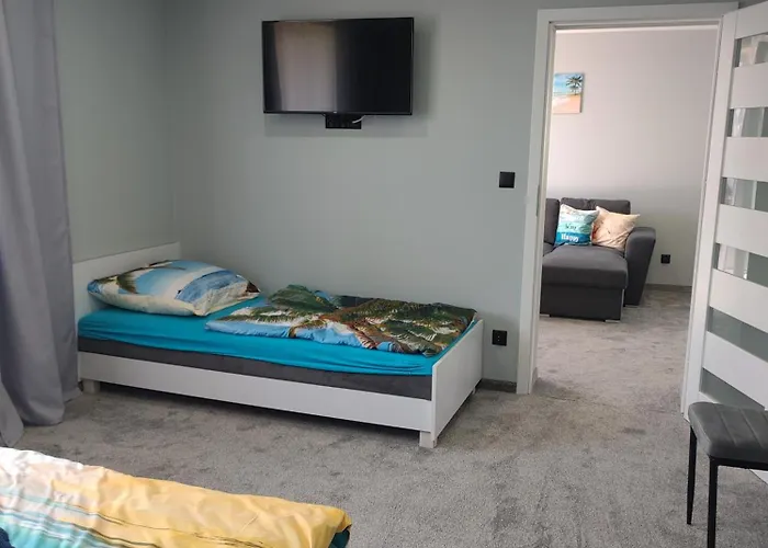 U Bosmana 德兹维济诺