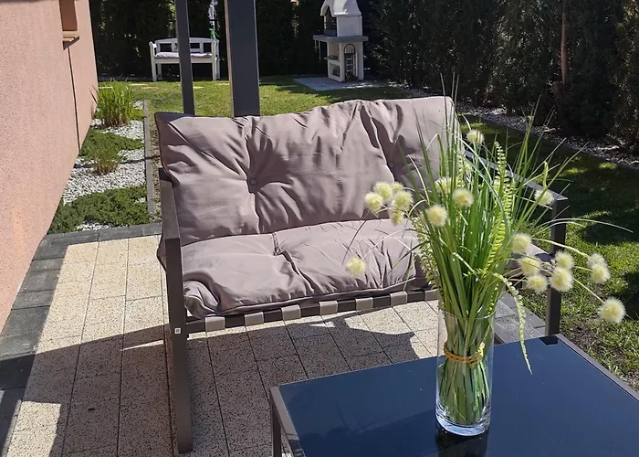 公寓 U Bosmana 德兹维济诺